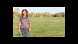 4 Basic Swings of Polo