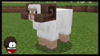 Minecraft: How To Find Horned Sheeps?