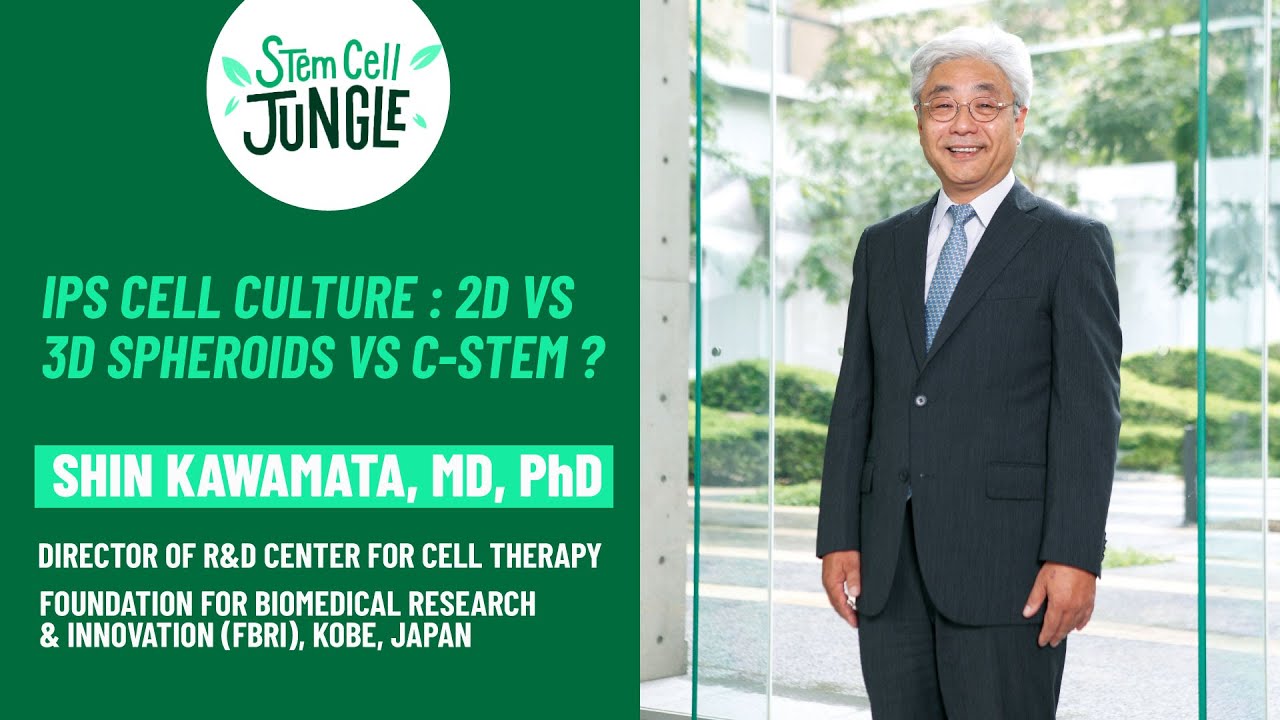 iPS cell culture : 2D vs 3D spheroids vs C-Stem ? I Shin Kawamata I FBRI I Kobe