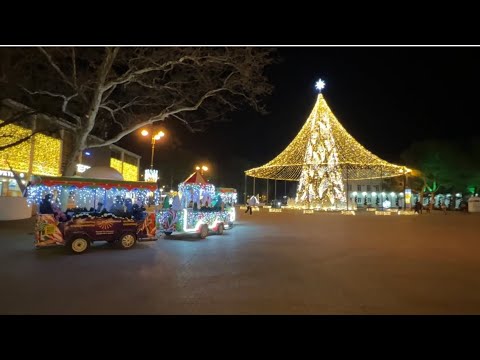 Вечерний Геленджик. Зима 2023. Куда сходить зимой. Обзор