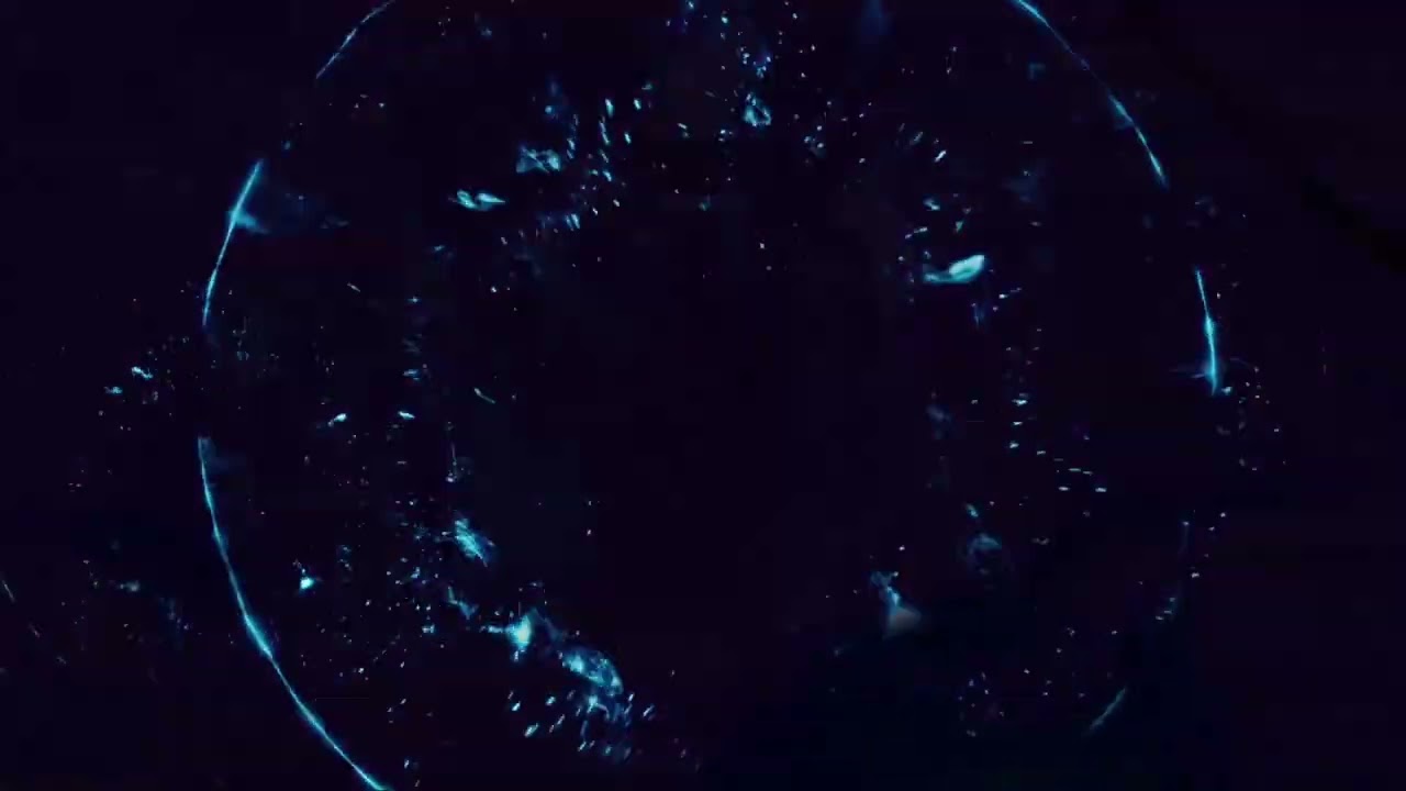 메이플 캐슈 노말 발드릭스 솔플