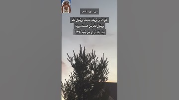 من سورة غافر / بصوت جميل / ارح سمعك وبصرك وتفكر وتأمل في الدنيا وزينتها