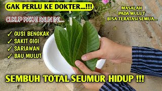 DAUN MUJARAB...!!!  GUSI BENGKAK,SAKIT GIGI,SARIAWAN,BAU MULUT TERATASI SEMUA || FERINA NASRUDIN screenshot 4