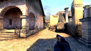 GuardiaN vs Virtus.pro - p2000 ACE!