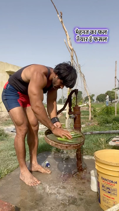 Farming and bodybuilding #desifitness #ytshorts #bodybuilding #love #farming #nature #organic