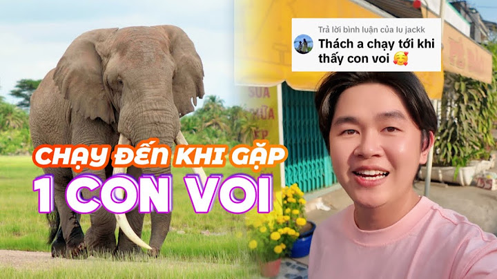 [FULL] Thử Thách: Chạy Đến Khi Gặp Một Con Voi