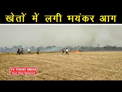 TTI News | गांव वरचावली खेतों में लगी भयंकर आग | TV Today INDIA