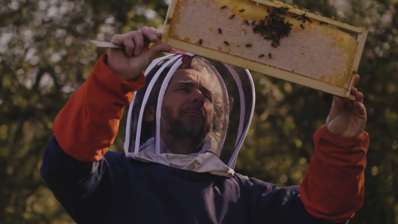 CELEBRATING 25 YEARS OF BRITISH BEEKEEPING by The London Honey Company