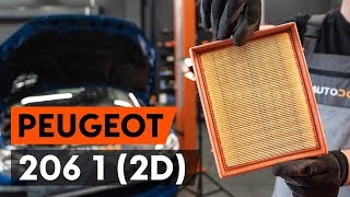Instalace Vzduchovy filtr PEUGEOT 206: video příručky