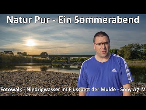 Natur Pur I - Ein Sommerabend daheim - Kein Wasser in der Mulde - Sony A7 IV - SEL20F18G - Fotowalk