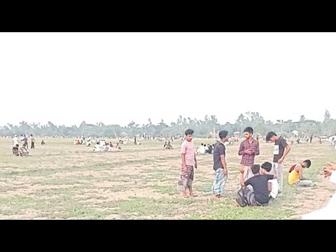 মেরিগঞ্জ ঘোড়া ছাড়া