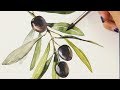 Watercolor Painting | Olive Branch