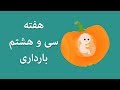 بارداری هفته به هفته هفته سی و هشتم
