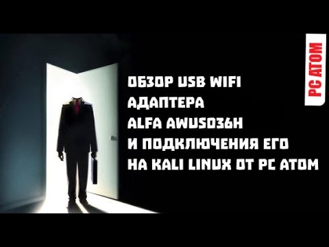 Небольшое обзор usb wifi адаптера Alfa AWUS036H и подключения на Kali Linux через VMware от РС АТОМ