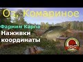 Фарм Карпа на озере Комариное - Русская Рыбалка 4/Russian Fishing 4