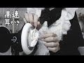 【ASMR】高速耳かきフルコース💨💨(竹耳かき、綿棒、ステンレス、指かき)/声なし