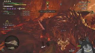 なんかする配信