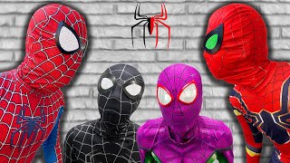 TEAM SPIDER-MAN vs BAD GUY TEAM || Who Is THE REAL HERO ?? ( Live Action ) - SPLife TV