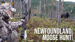 Bowhunting Moose at close range  |  Incredible pass-through shot!
