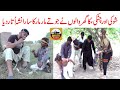 Charsi Funny Video Shoki Pinno Chutki Shakora Rangeela New Funny Video By Bhatti Da Dera