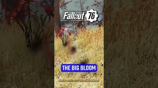 FALLOUT 76 | The Big Bloom Is Back! [May 26]