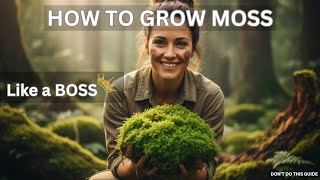 Beginners Guide in Growing Moss in Your Garden
