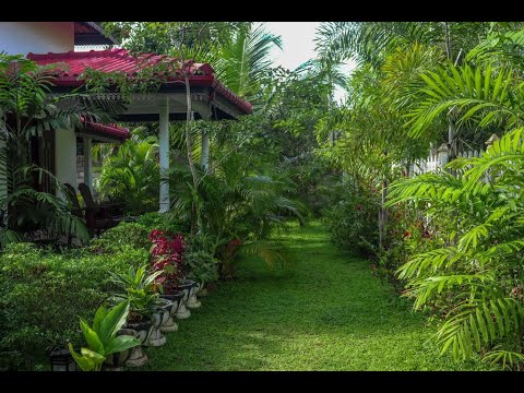 Home garden srilanka - YouTube