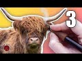 Wood Burning a HIGHLAND Cow — Part 3