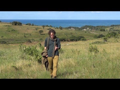 Video: Pondoland Syzygium