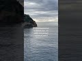 #аффирмации #shortvideo #благодарность