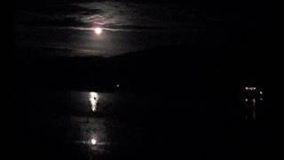 Little Leaf Sea by moonlight