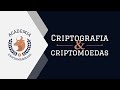 Criptografia e Criptomoedas: Entenda Como Protegem Seus Ativos Digitais 🔐
