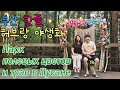 [Vlog] 집돌이 남편과 산책(부산, 허브랑 야생화)