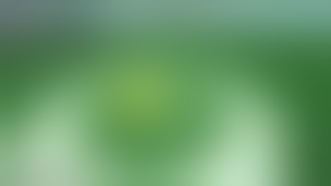 Chrono Sentinel script