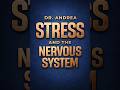 Unlock Your Nervous System Response: Fight, Flight, Heal, Repair #shorts