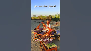 International Ustad Ahmed Khan Youtubeshorts 