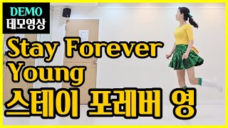 스테이 포에버 영 | Improver | 다시찾은~지금의 빛나는 젊음~영원하길 응원합니다! 💥