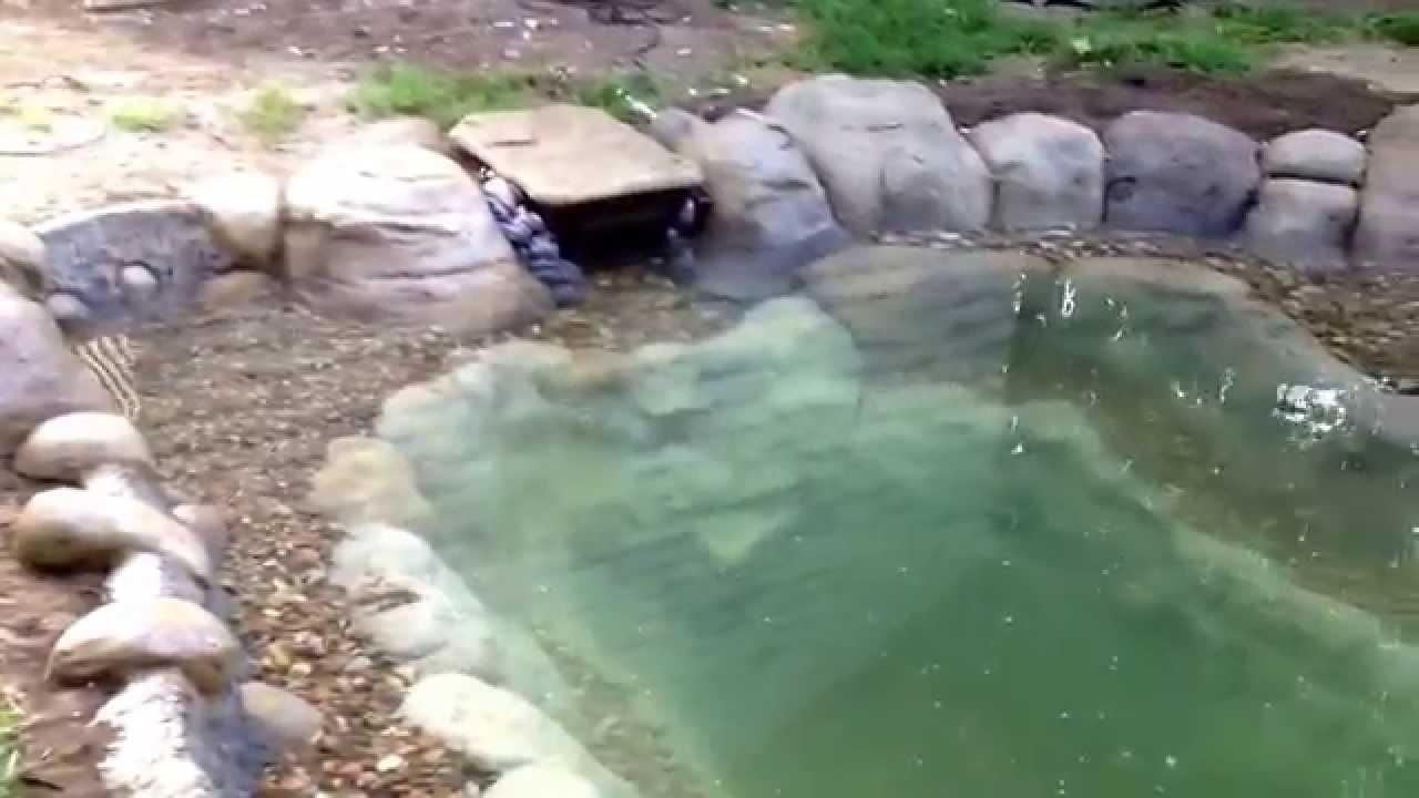 Concrete backyard pond YouTube