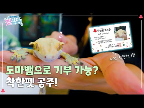 펫밀리 최초 파충류 등장?! ㅣ슈퍼스타 펫밀리 이진아 기부자님&공주 편