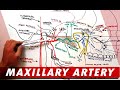 Maxillary artery and its branches  anatomy tutorial
