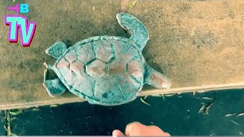 Omniscient/Omnipotent/Omnipresent/Targeted Individual/Gangstalking PT5239 Extrasensory/Chosen Ones