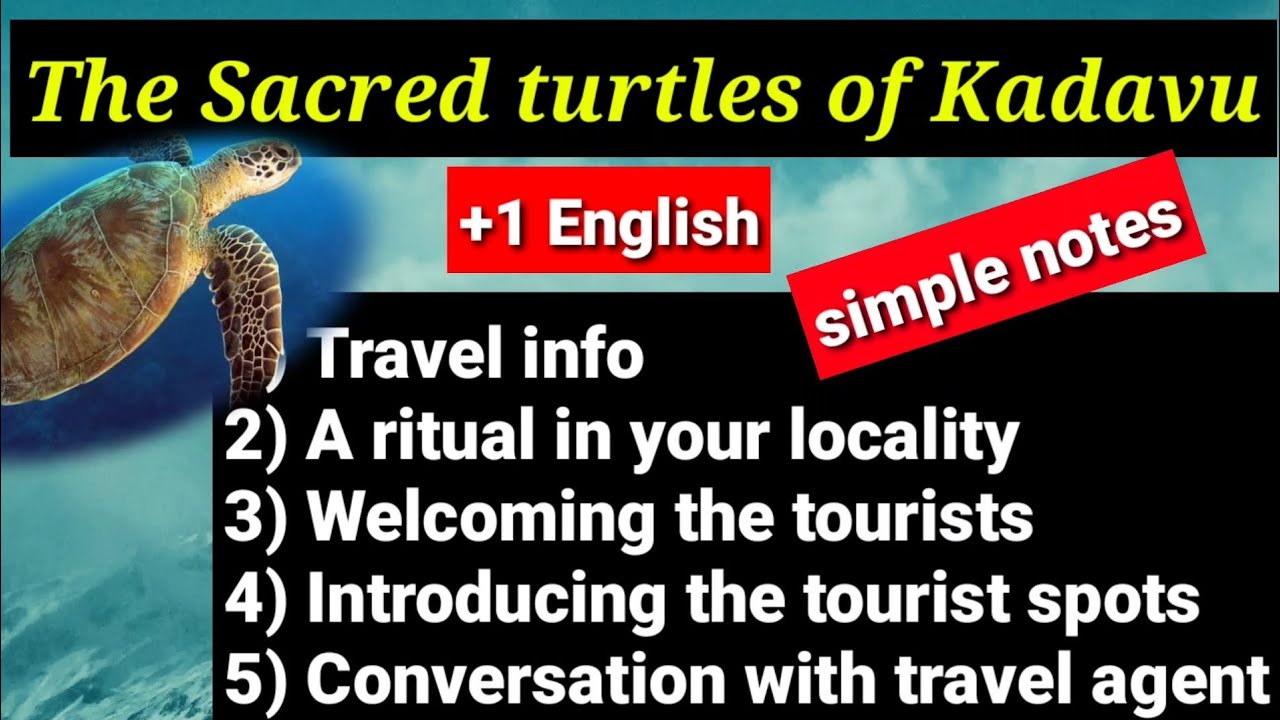 The Sacred Turtles Of Kadavu Activities Important questions of Sacred turtles of Kadavu..... plus one English