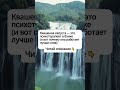 Квашеная капуста — психотерапевт в банке #квашенаякапуста #психическоездоровье #зож #здоровье