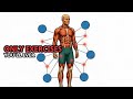 The Only 5 Exercises You'll Ever Need (Full Body Workout Science)