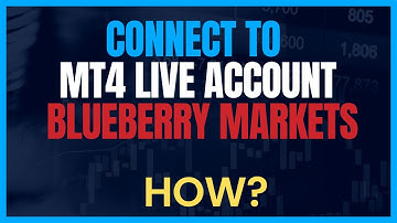Blueberry Markets Broker - How to Login to Live Account in MT4