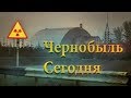 Чернобыль сегодня. Что происходит в зоне отчуждения сейчас?