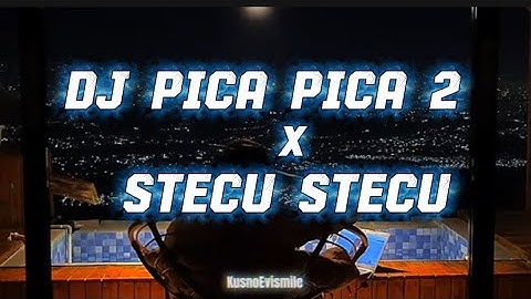 DJ PICA PICA 2 X STECU STECU REMIX