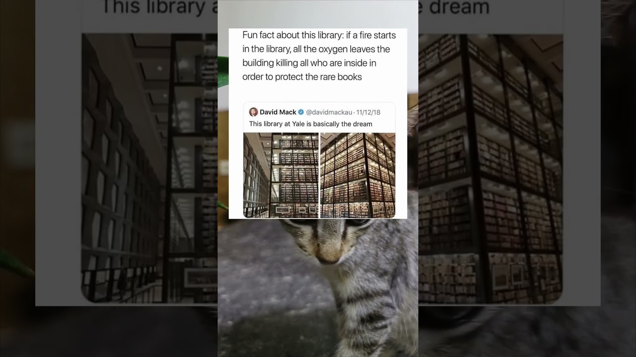 Yale's Beinecke Rare Book & Manuscript Library: Where the books are that precious. 