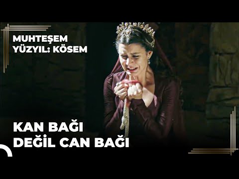 Nasıl Kösem Oldum? \