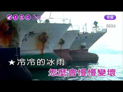 冰雨~劉德華~女C調~伴奏~導唱丙